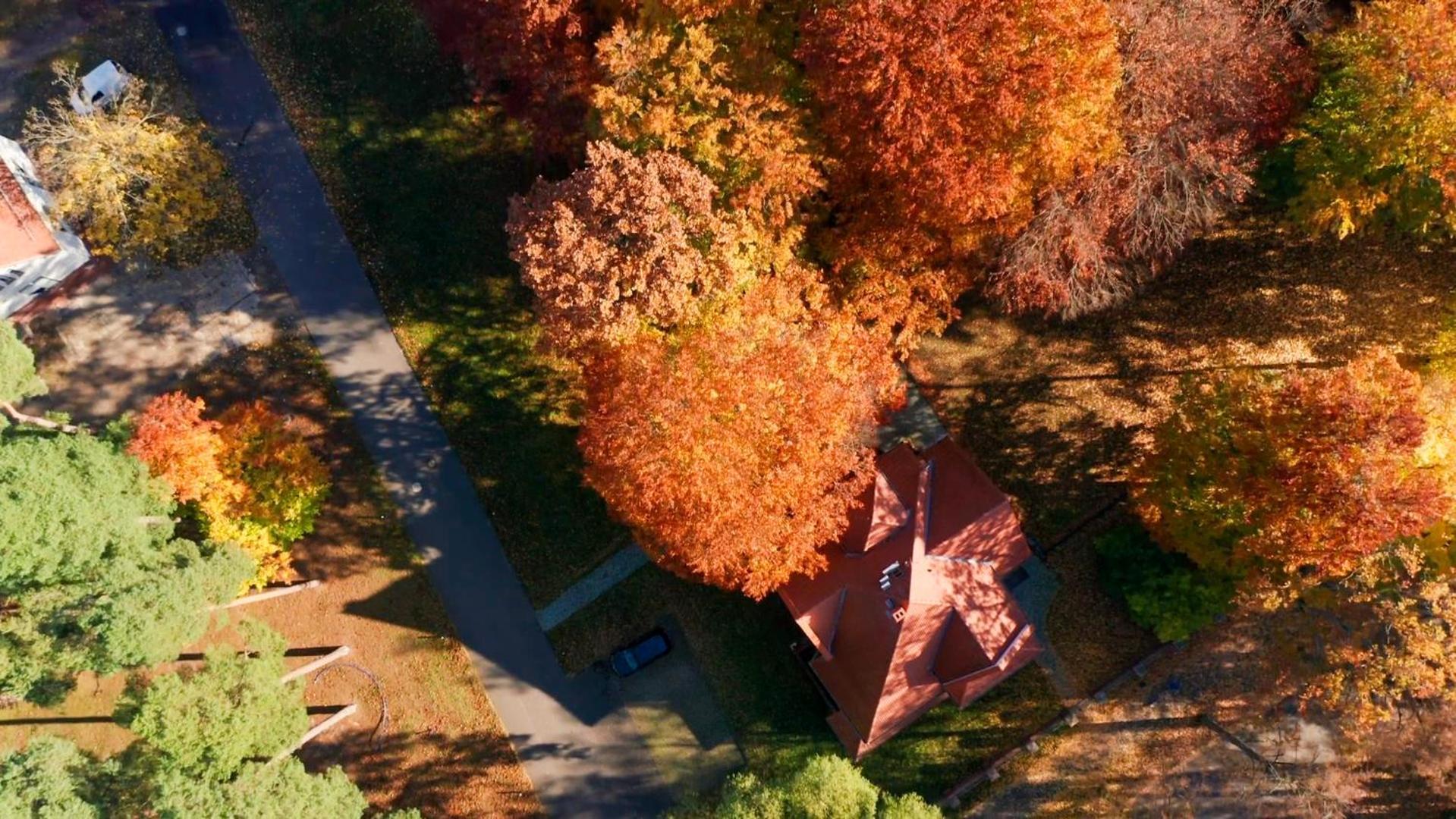 Parkresidenz Lychen, Ferienwohnung 4 Екстериор снимка