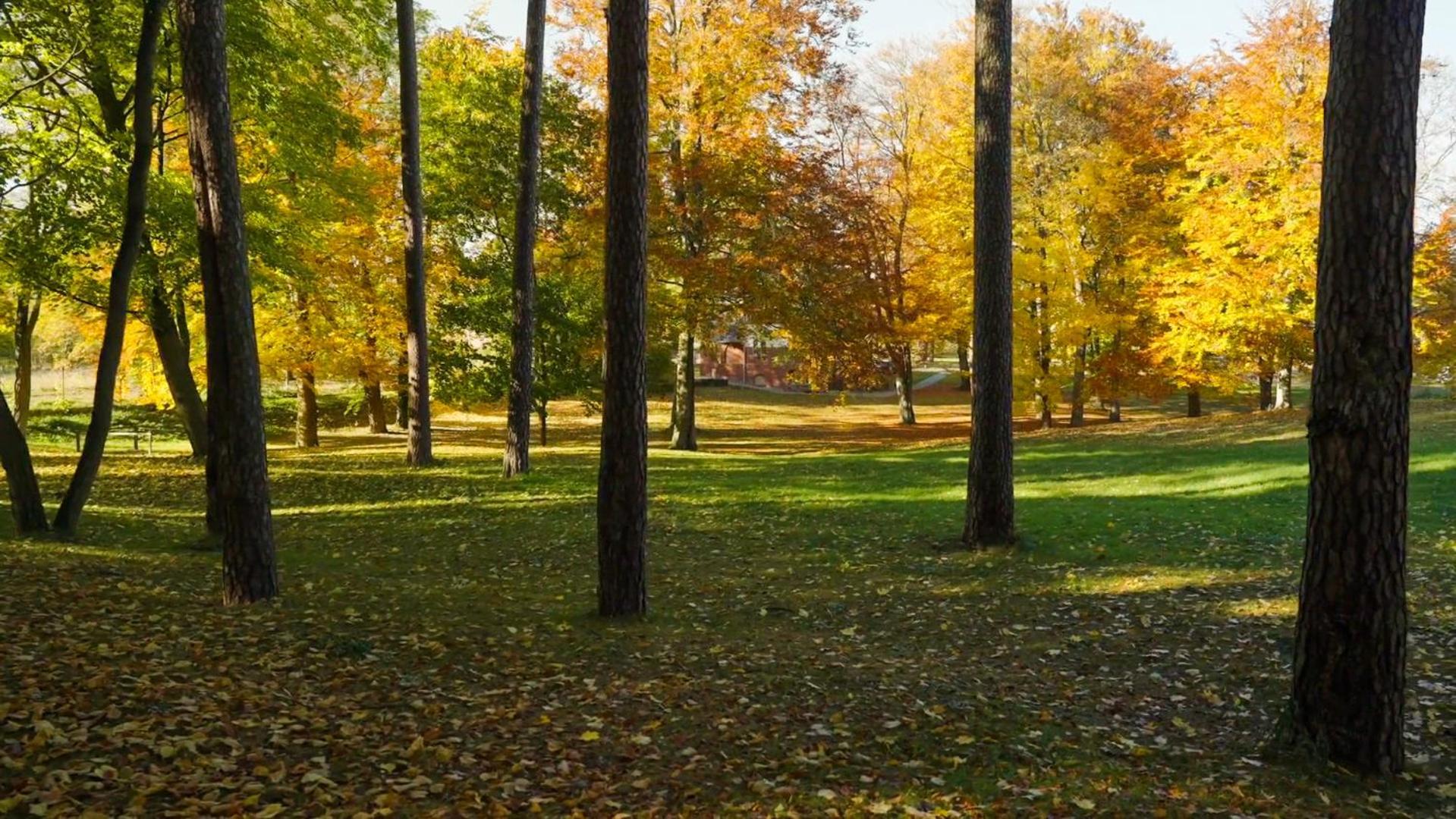 Parkresidenz Lychen, Ferienwohnung 4 Екстериор снимка